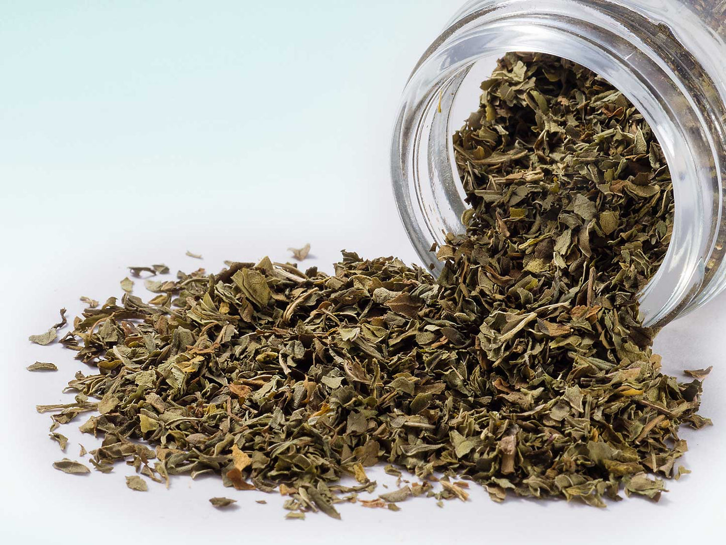 Catmint 20g