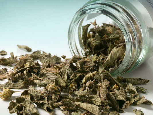 Mexické oregano 10g