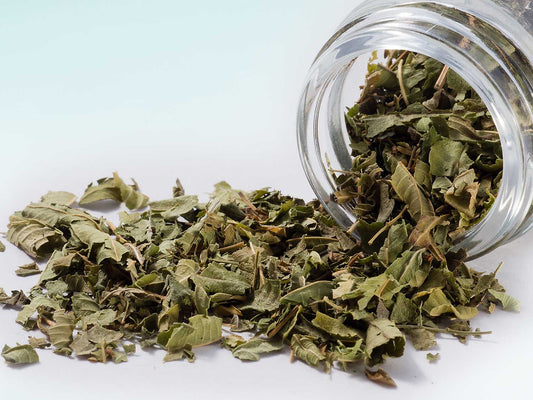 Verbena citronová 10g